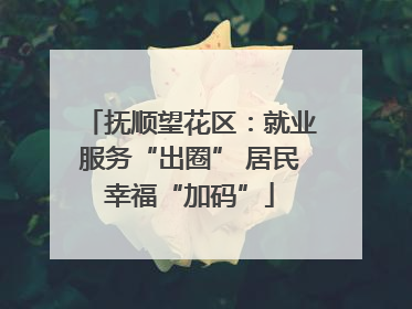 抚顺望花区：就业服务“出圈” 居民幸福“加码”