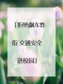 拒绝飙车炸街 交通安全进校园