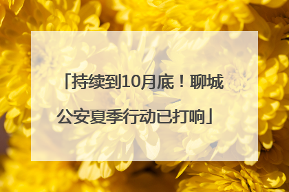 持续到10月底！聊城公安夏季行动已打响
