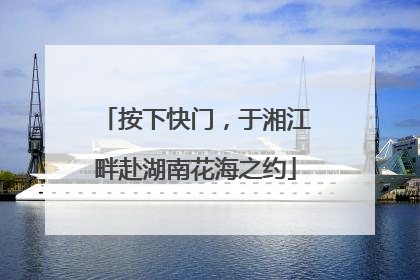 按下快门，于湘江畔赴湖南花海之约