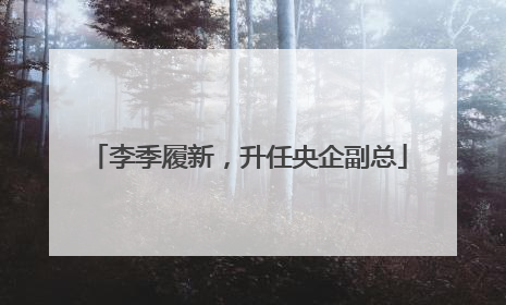李季履新，升任央企副总