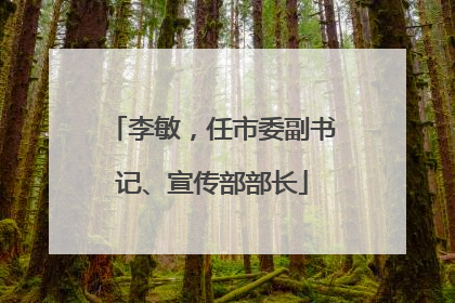 李敏，任市委副书记、宣传部部长