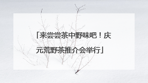来尝尝茶中野味吧！庆元荒野茶推介会举行