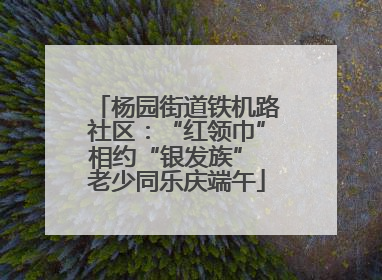 杨园街道铁机路社区：“红领巾”相约“银发族” 老少同乐庆端午