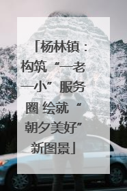 杨林镇：构筑“一老一小”服务圈 绘就“朝夕美好”新图景