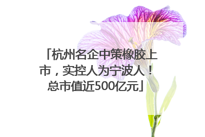 杭州名企中策橡胶上市，实控人为宁波人！总市值近500亿元