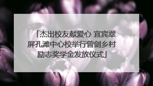 杰出校友献爱心 宜宾翠屏孔滩中心校举行曾剑乡村励志奖学金发放仪式