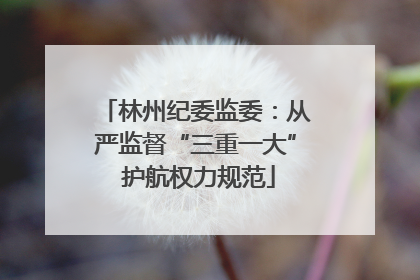 林州纪委监委：从严监督“三重一大” 护航权力规范