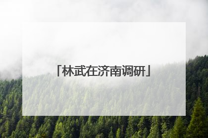 林武在济南调研