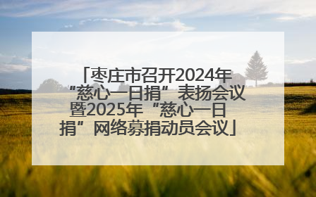 枣庄市召开2024年“慈心一日捐”表扬会议暨2025年“慈心一日捐”网络募捐动员会议