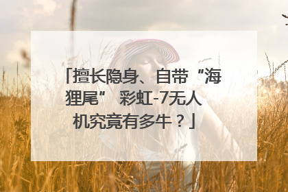擅长隐身、自带“海狸尾” 彩虹-7无人机究竟有多牛？