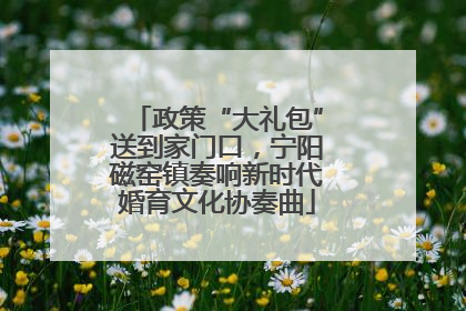 政策“大礼包”送到家门口，宁阳磁窑镇奏响新时代婚育文化协奏曲