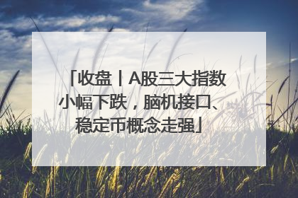收盘丨A股三大指数小幅下跌，脑机接口、稳定币概念走强
