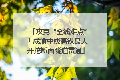 攻克“全线难点”！成渝中线高铁最大开挖断面隧道贯通