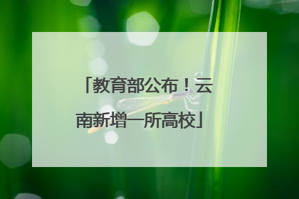 教育部公布！云南新增一所高校