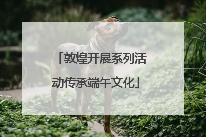 敦煌开展系列活动传承端午文化