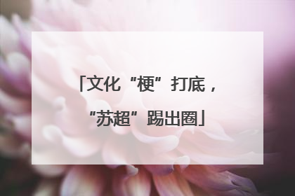 文化“梗”打底，“苏超”踢出圈