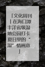 文化周刊丨在海口潭丰洋省级湿地公园打卡夏日里的“湿”情画意