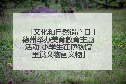 文化和自然遗产日丨德州举办美育教育主题活动 小学生在博物馆里赏文物画文物