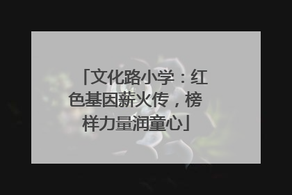 文化路小学：红色基因薪火传，榜样力量润童心