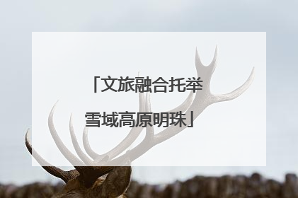 文旅融合托举雪域高原明珠