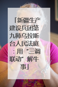 新疆生产建设兵团第九师乌拉斯台人民法庭：用“三调联动”解牛事