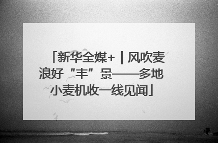 新华全媒+｜风吹麦浪好“丰”景——多地小麦机收一线见闻