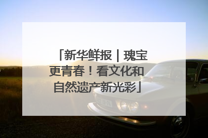 新华鲜报｜瑰宝更青春！看文化和自然遗产新光彩