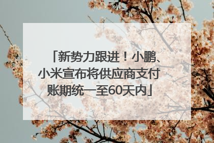 新势力跟进！小鹏、小米宣布将供应商支付账期统一至60天内