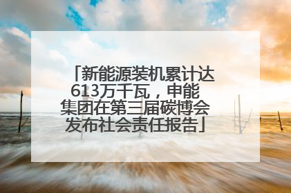 新能源装机累计达613万千瓦，申能集团在第三届碳博会发布社会责任报告
