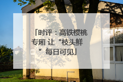 时评：高铁樱桃专厢 让“枝头鲜”每日可见