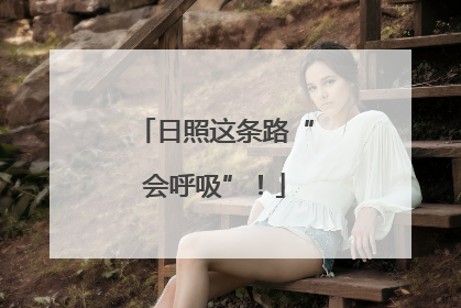日照这条路“会呼吸”！