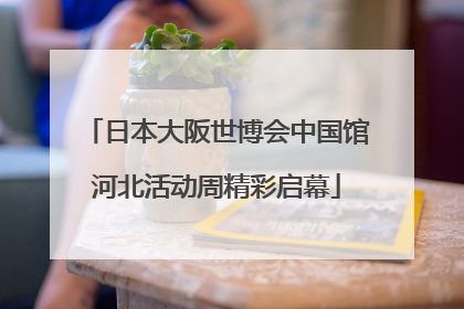 日本大阪世博会中国馆河北活动周精彩启幕