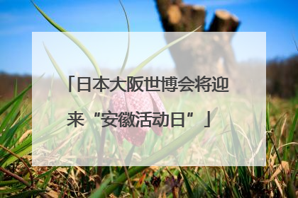 日本大阪世博会将迎来“安徽活动日”