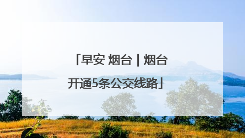早安 烟台｜烟台开通5条公交线路