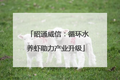 昭通威信：循环水养虾助力产业升级