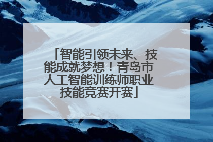 智能引领未来、技能成就梦想！青岛市人工智能训练师职业技能竞赛开赛