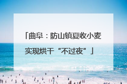曲阜：防山镇夏收小麦实现烘干“不过夜”