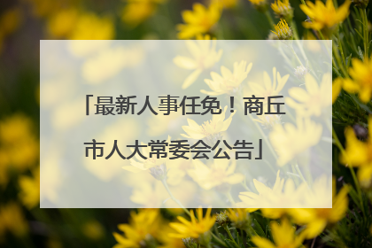 最新人事任免！商丘市人大常委会公告