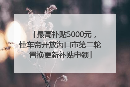 最高补贴5000元，懂车帝开放海口市第二轮置换更新补贴申领