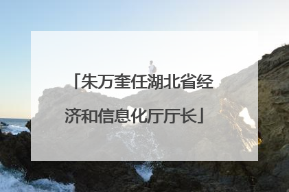 朱万奎任湖北省经济和信息化厅厅长