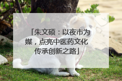朱文硕：以夜市为媒，点亮中医药文化传承创新之路