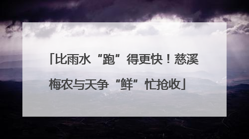 比雨水“跑”得更快！慈溪梅农与天争“鲜”忙抢收