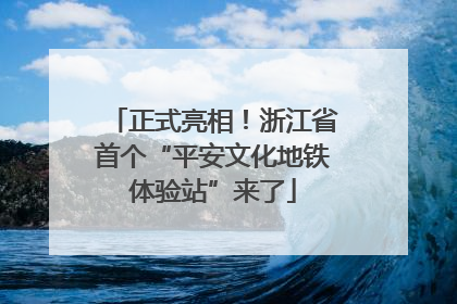 正式亮相！浙江省首个“平安文化地铁体验站”来了