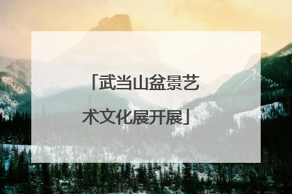 武当山盆景艺术文化展开展