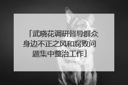 武晓花调研督导群众身边不正之风和腐败问题集中整治工作