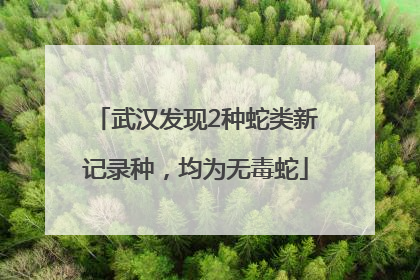 武汉发现2种蛇类新记录种，均为无毒蛇