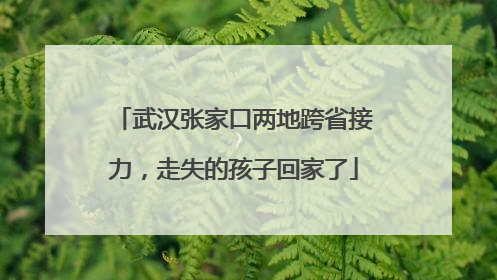 武汉张家口两地跨省接力，走失的孩子回家了