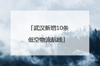 武汉新增10条低空物流航线