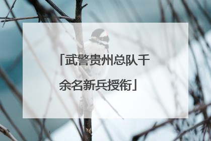 武警贵州总队千余名新兵授衔